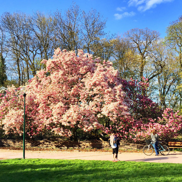 Parc Sainte Marie Trip Packages