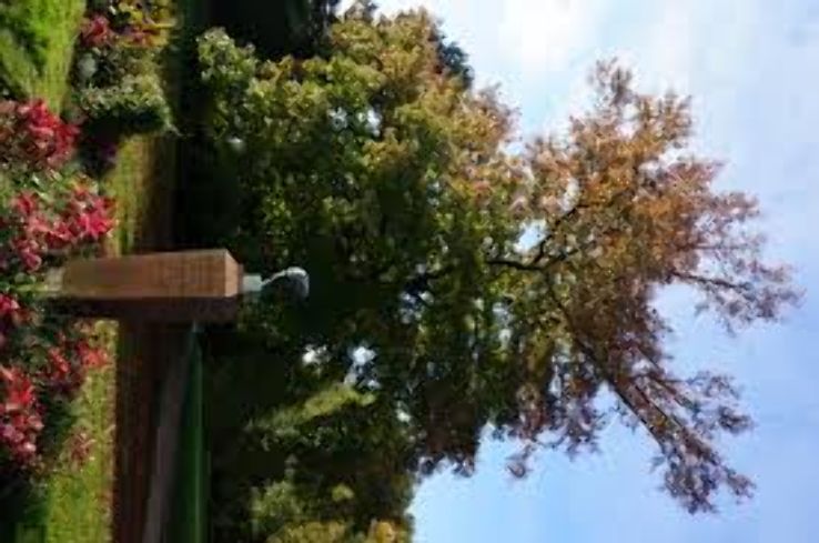 Parc Sainte Marie Trip Packages