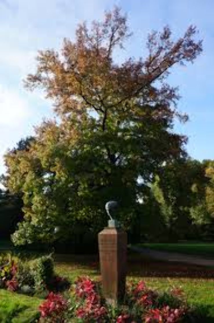 Parc Sainte Marie Trip Packages