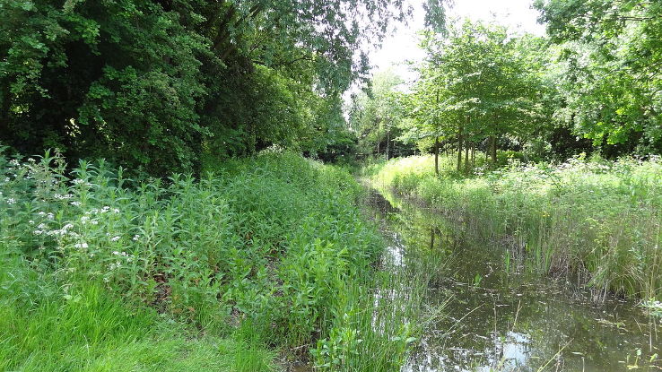 Islip Manor Meadows Trip Packages