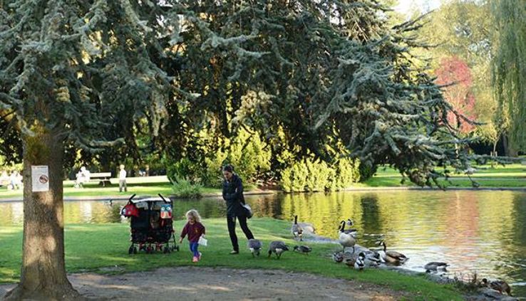 Pinner Memorial Park Trip Packages