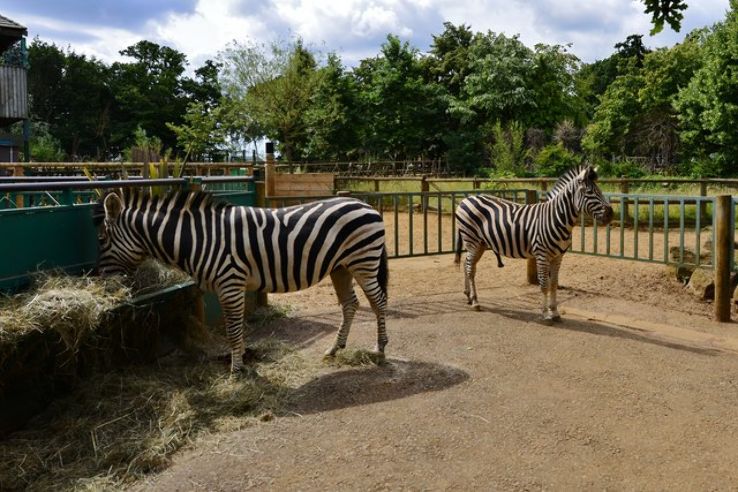 Paradise Wildlife Park Trip Packages
