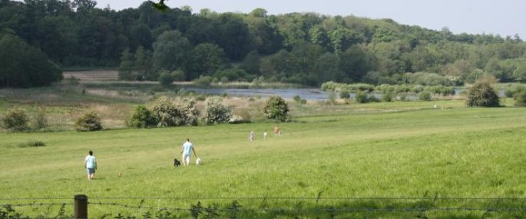 Panshanger Park Trip Packages