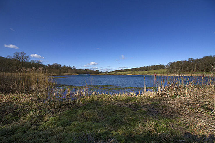 Panshanger Park Trip Packages