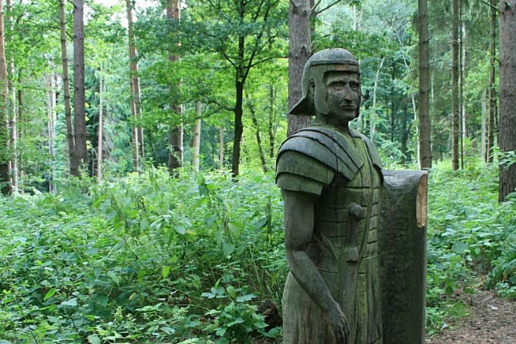 Broxbourne Woods Trip Packages