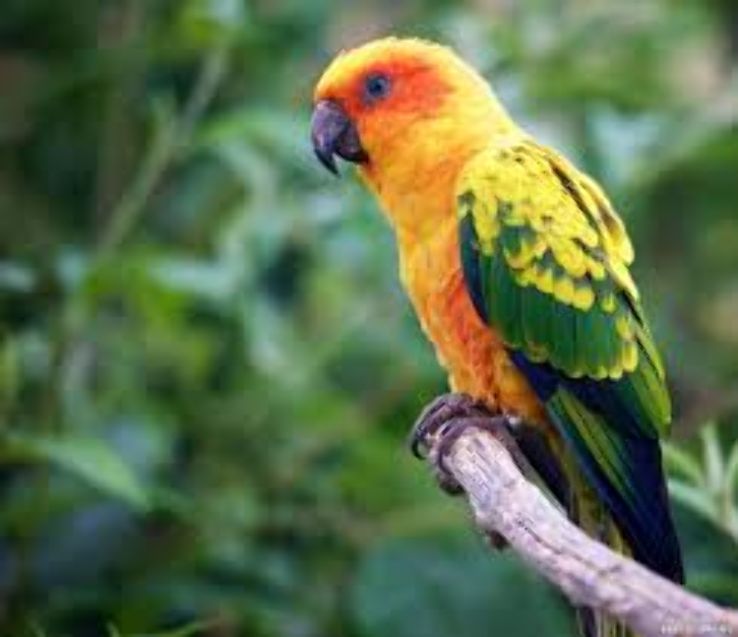 Marwell Zoo Trip Packages