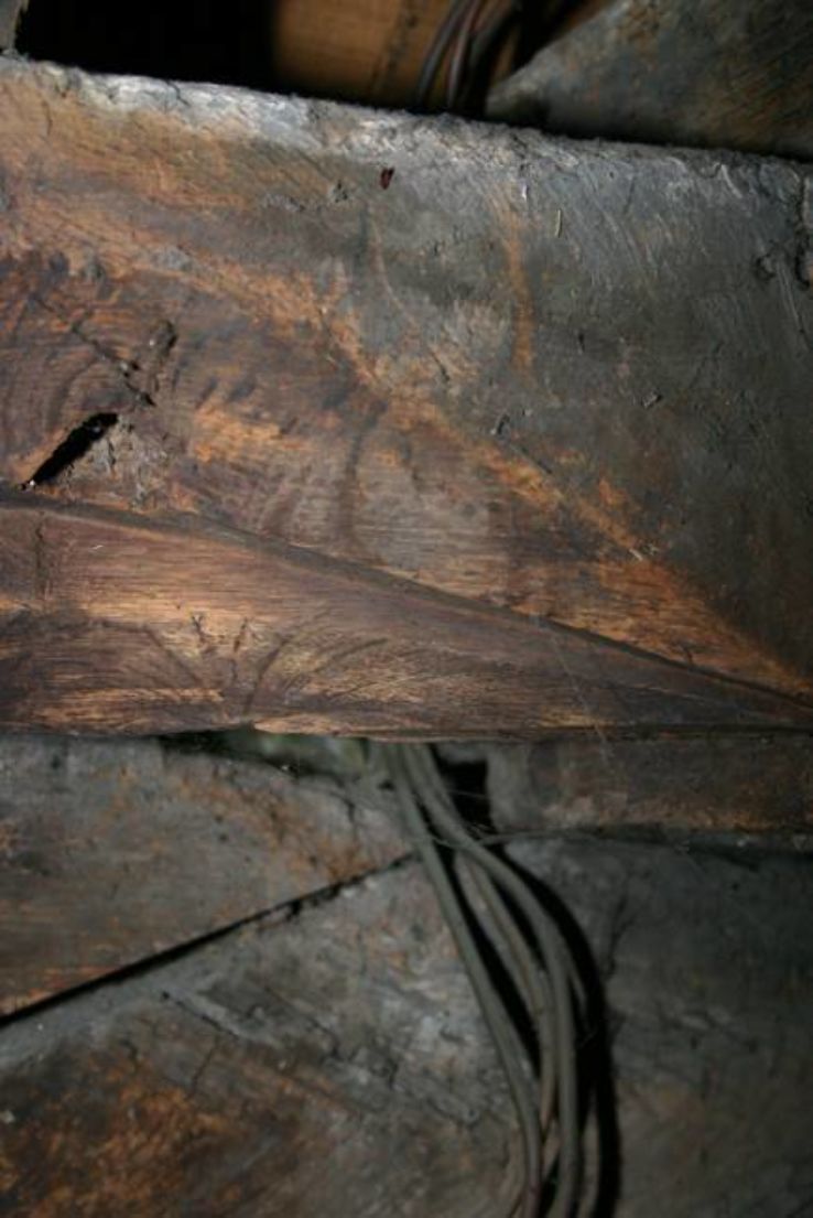 Pilgrims Hall Trip Packages