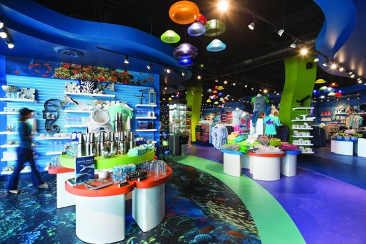 OdySea Aquarium Trip Packages
