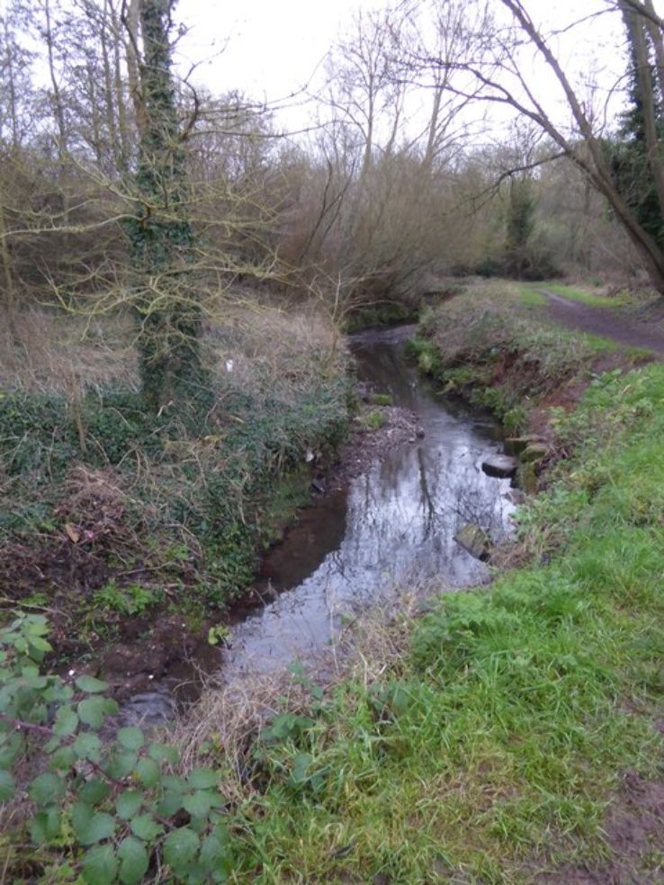 Ludwell valley Park  Trip Packages