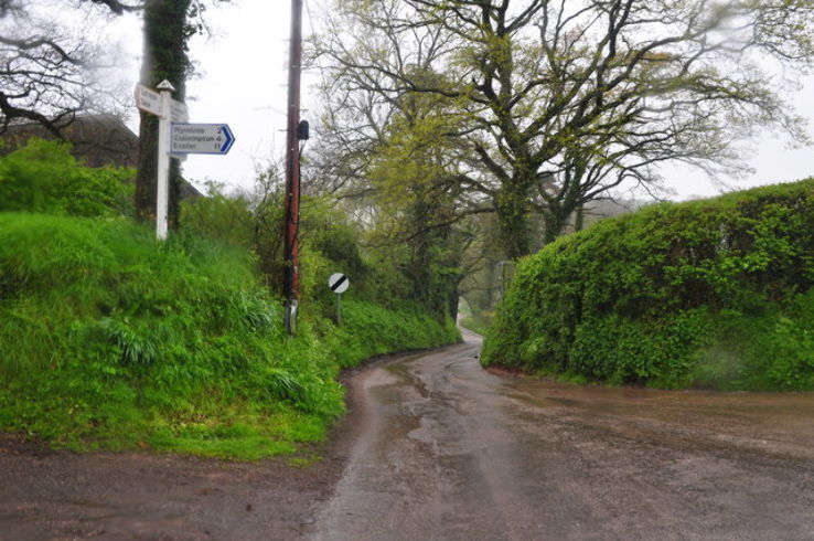 Ashclyst Forest  Trip Packages