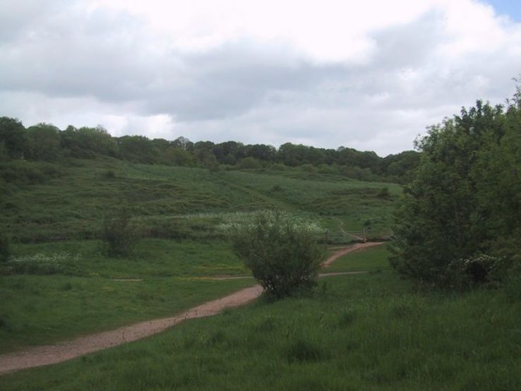 Mincinglake Valeey park  Trip Packages