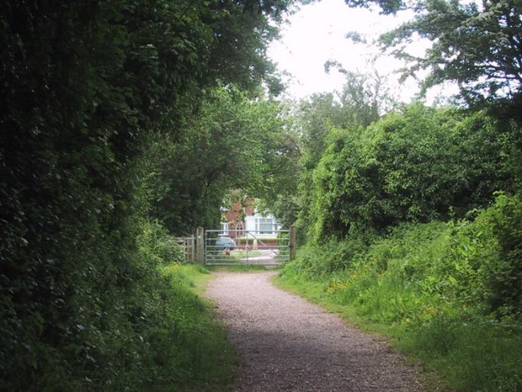 Mincinglake Valeey park  Trip Packages