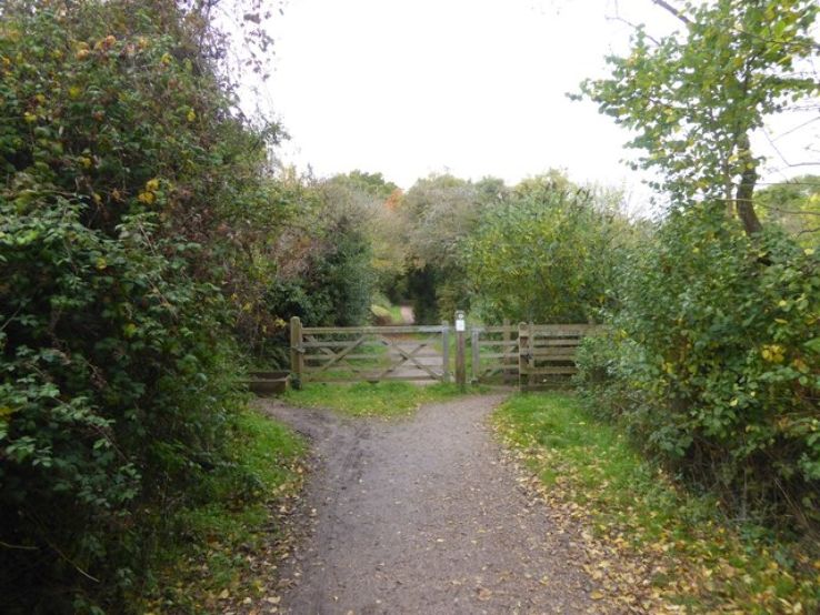 Mincinglake Valeey park  Trip Packages