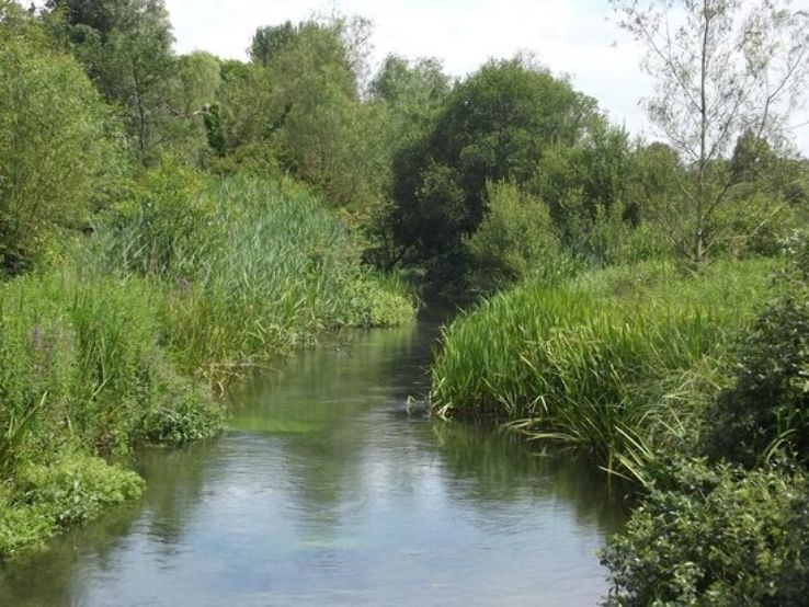 Winnall Moors Trip Packages