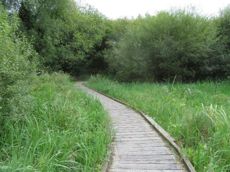 Winnall Moors Trip Packages