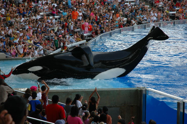SeaWorld Orlando  Trip Packages