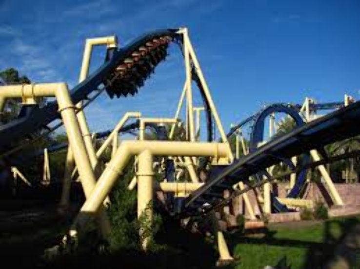 Busch Gardens Tampa  Trip Packages