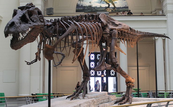 Field Museum of Natural History Trip Packages