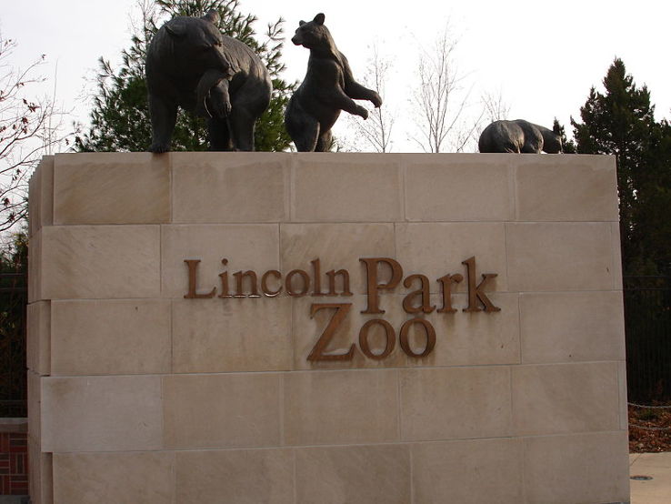 Lincoln Park Zoo Trip Packages