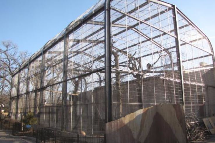 Brookfield Zoo Trip Packages