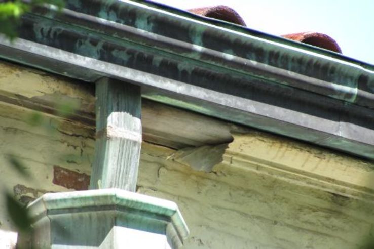 Brookfield Zoo Trip Packages