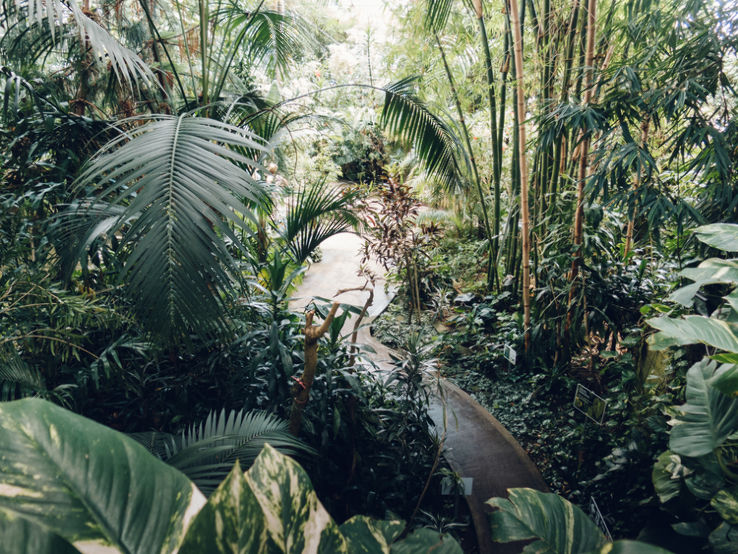 Plantasia Trip Packages