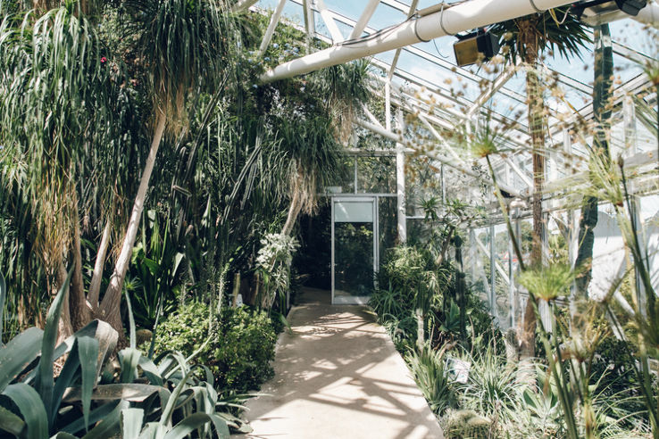 Plantasia Trip Packages