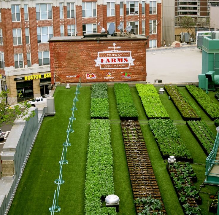 Fenway Park Trip Packages