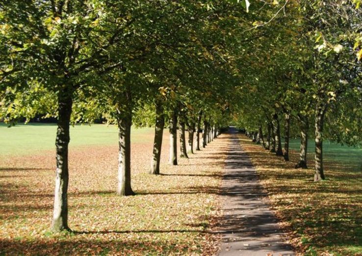 Eglinton Country Park Trip Packages
