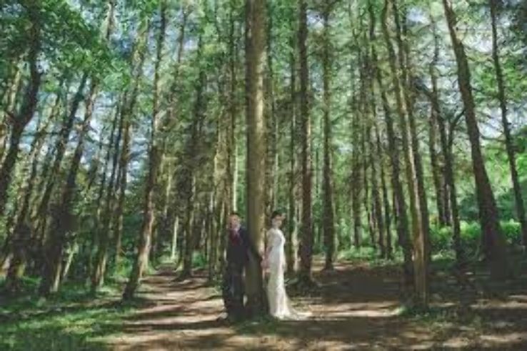 Eglinton Country Park Trip Packages