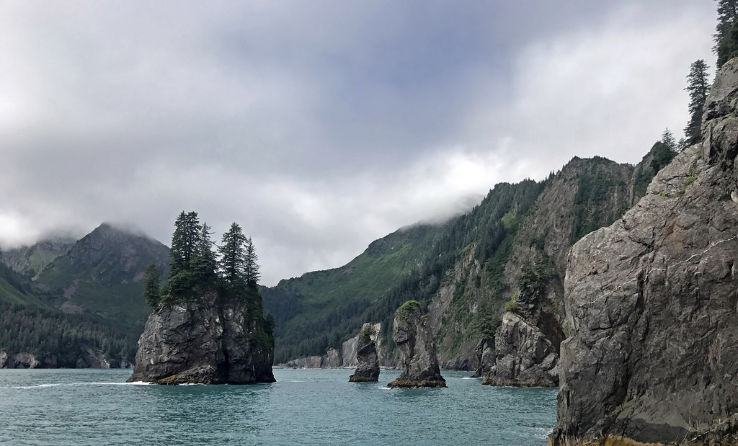 Kenai Fjords National Park Trip Packages