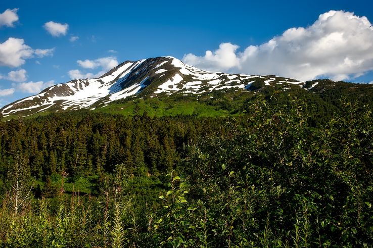Chugach National Forest Trip Packages