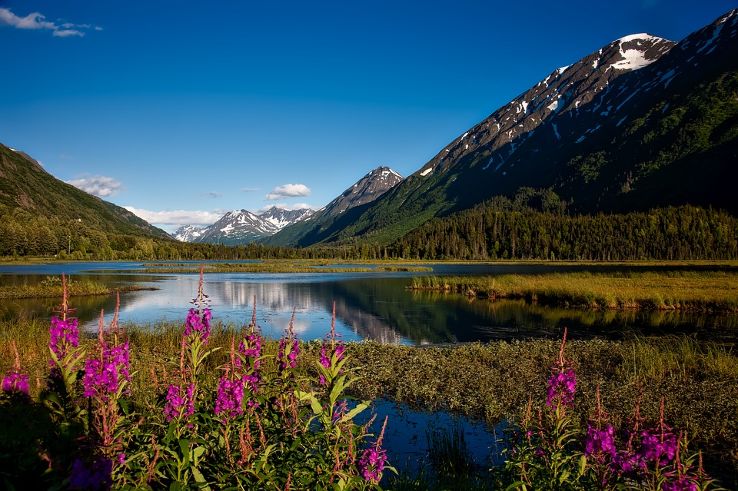 Chugach National Forest Trip Packages