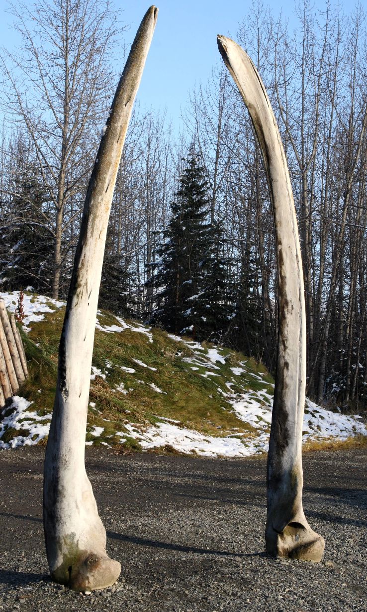 Alaska Native Heritage Center Trip Packages