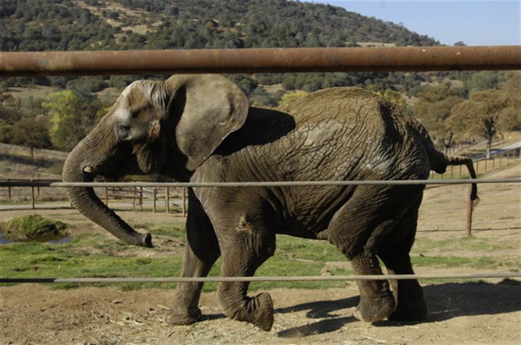 Alaska Zoo Trip Packages