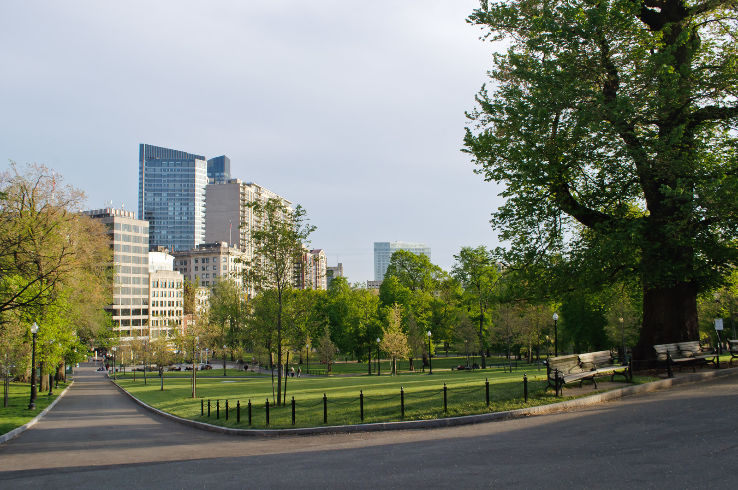 Boston Common Trip Packages