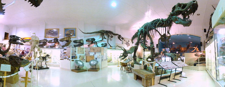 Museum @ Black Hills Institute Trip Packages