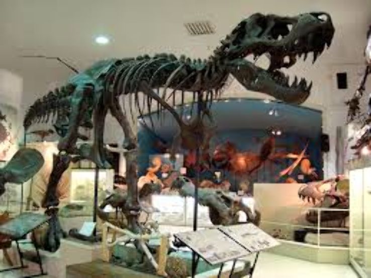 Museum @ Black Hills Institute Trip Packages