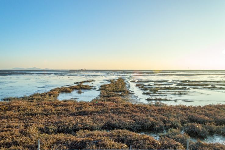 Eden Landing Ecological Reserve Trip Packages