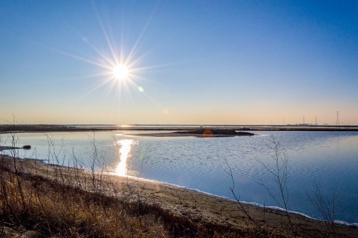 Eden Landing Ecological Reserve Trip Packages