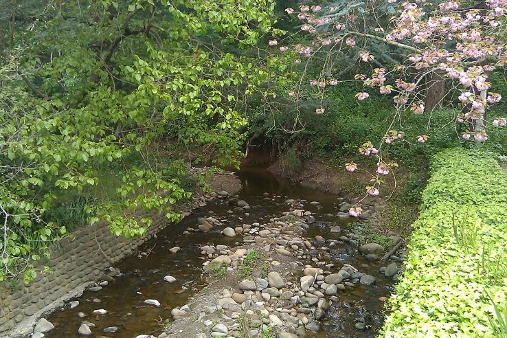 Dry Creek Cottage Trip Packages