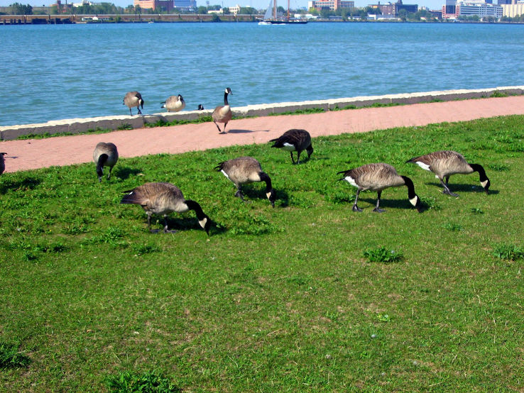 Assumption park Trip Packages