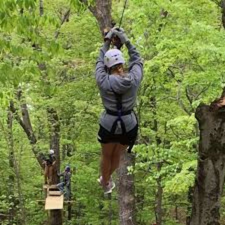 Tree Top Challenge Trip Packages