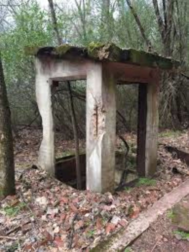 Red Mountain Park  Trip Packages