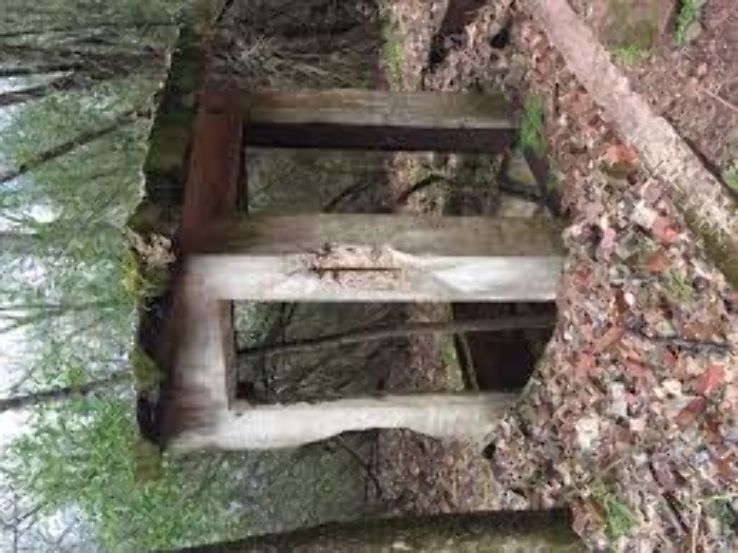 Red Mountain Park  Trip Packages