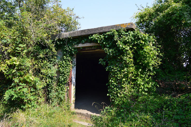 Lavernock Battery Trip Packages