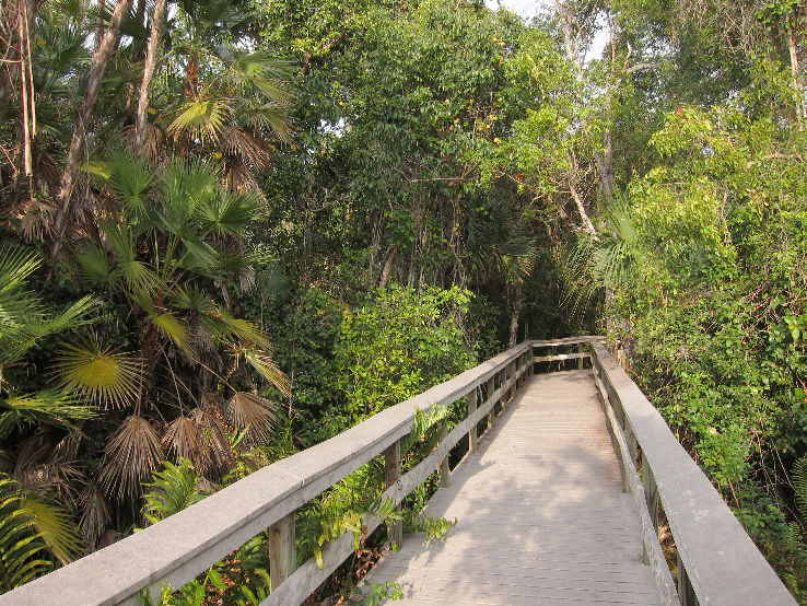 Everglades National Parks  Trip Packages