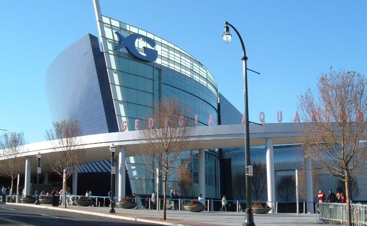 Georgia Aquarium Trip Packages