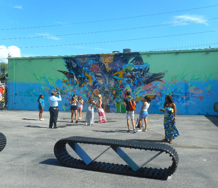 Wynwood Walls Street Art  Trip Packages