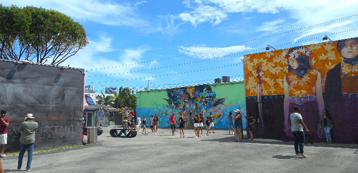 Wynwood Walls Street Art  Trip Packages